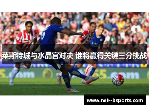 莱斯特城与水晶宫对决 谁将赢得关键三分挑战