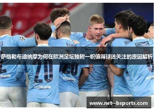 萨格勒布迪纳摩为何在欧洲足坛独树一帜值得球迷关注的原因解析