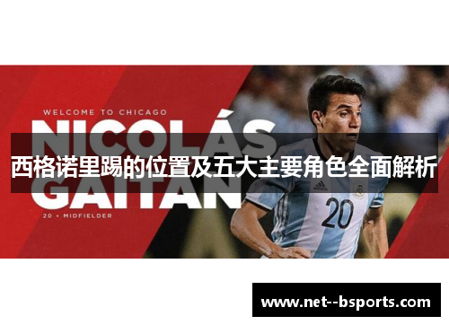 西格诺里踢的位置及五大主要角色全面解析