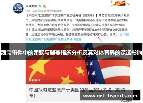 魏震事件中的罚款与禁赛措施分析及其对体育界的深远影响